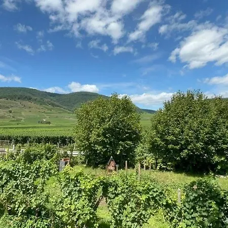 Apartamento Bright F4 Close To Everything *