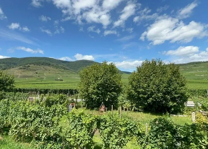 Apartamento Bright F4 Close To Everything *